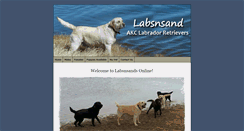 Desktop Screenshot of labsnsand.com
